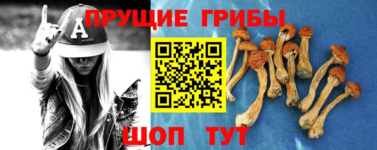 Галлюциногенные грибы Magic Shrooms  Вход с VPN  Губкинский 