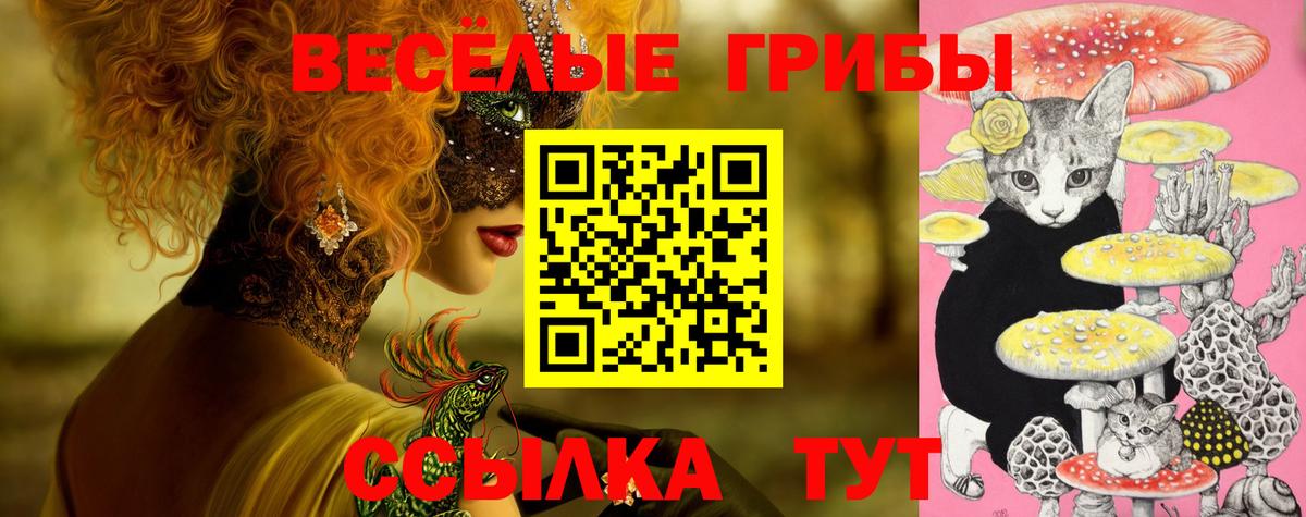 Галлюциногенные грибы мицелий Губкинский