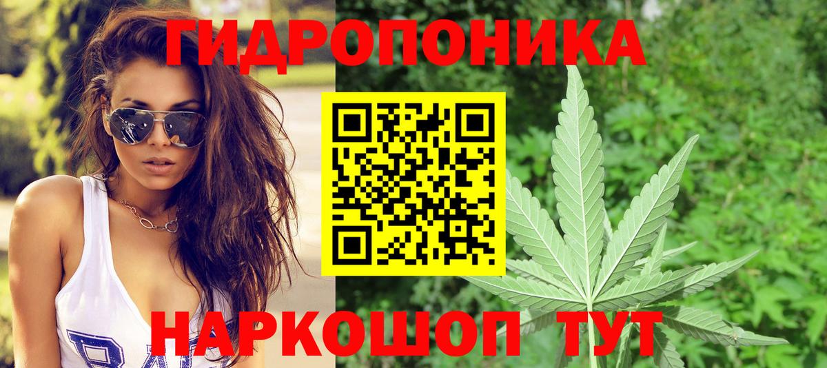 Каннабис VHQ Губкинский